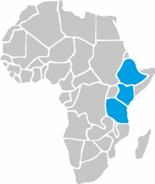 mappa-volontariato-nel-mondo-africa mappa-volontariato-nel-mondo-africa