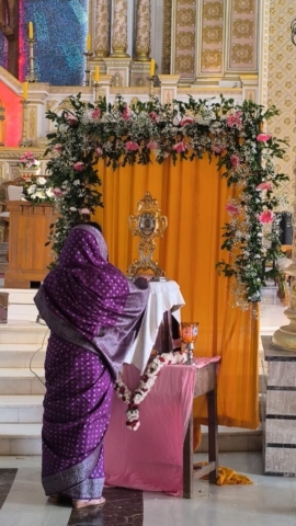 Reliquia a Coimbatore (15)